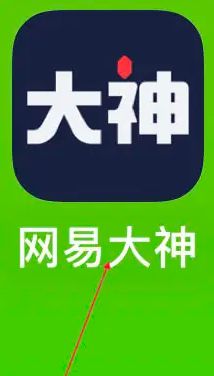 网易大神社区app如何实名认证 网易大神实名认证方法(网易大神社区运营多少钱)
