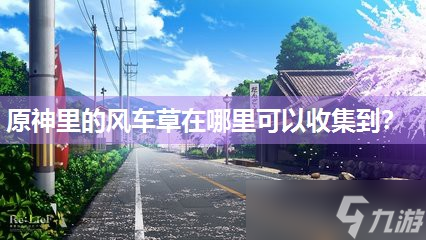 原神里的风车草在哪里可以收集到(原神风车草位置)