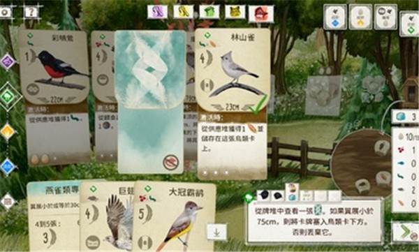 展翅翱翔