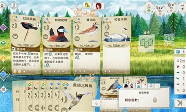 展翅翱翔