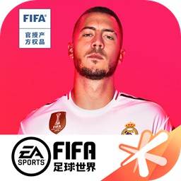 FIFA足球世界体验服(世界杯足球)