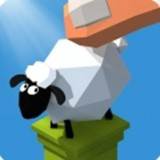 小比萨Tiny Sheep(比萨介绍)