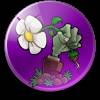 植物大战僵尸联想乐pad高清(Plants vs Zombies)(老版的植物大战僵尸)