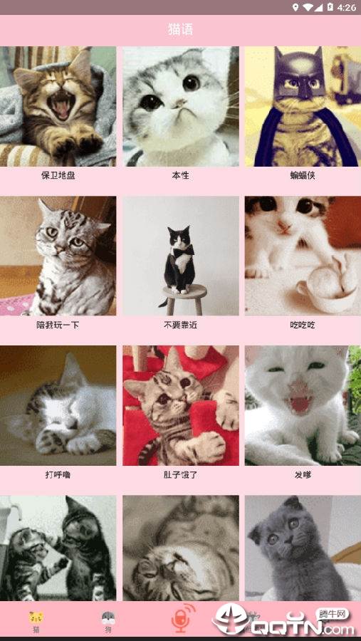 人猫交流器狗语