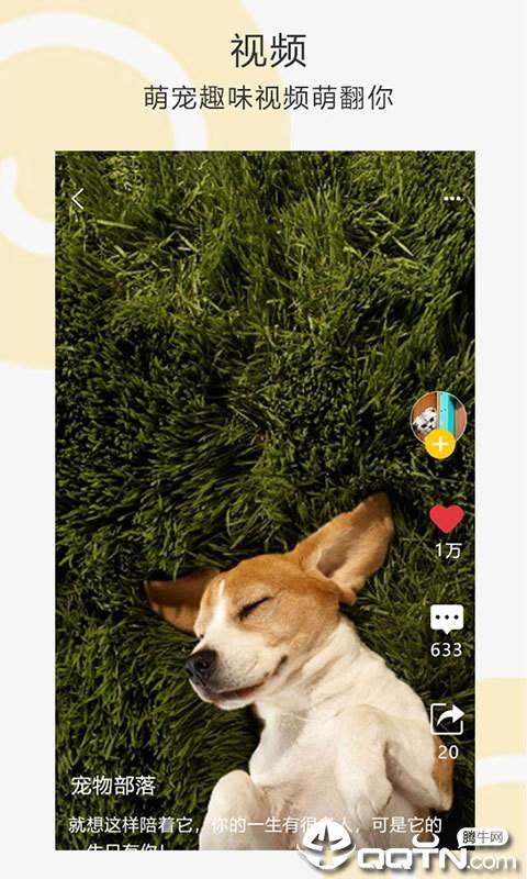 我爱它它