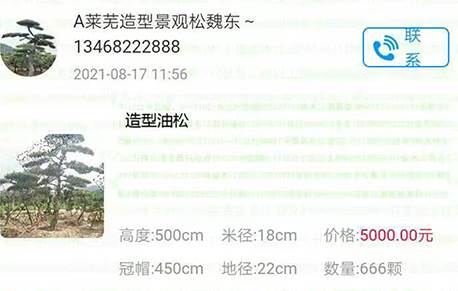 苗木江湖App
