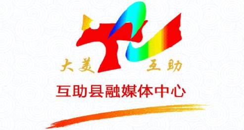 大美互助