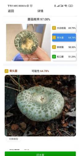 菌窝子(识别蘑菇)