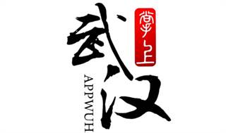 掌上武汉手机版
