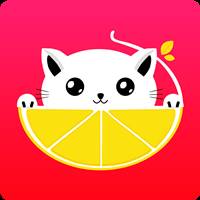 柠檬猫(柠檬猫猫)