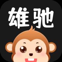 雄驰app(雄驰铝材批发)