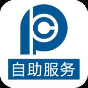 太平洋上分app(太平洋上分公司综保查询)