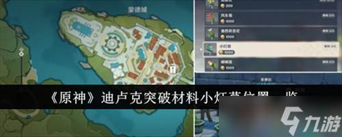 原神小灯草在哪里采集