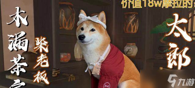 原神柴犬鉴