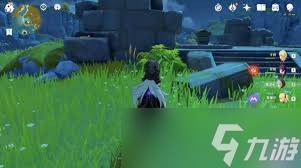 原神怀宝应自珍藏宝在哪里在哪