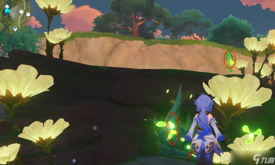 原神须弥宝箱全收集——