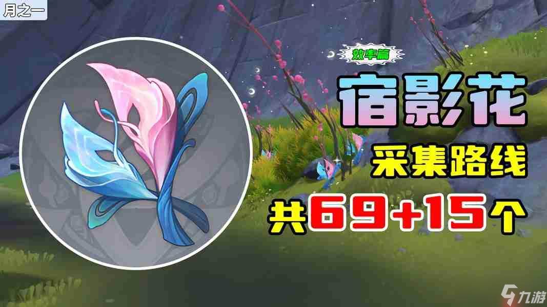 原神月之一版本宿影花采集路线