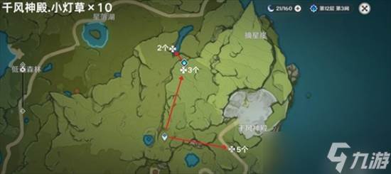 原神小灯草在哪里采集