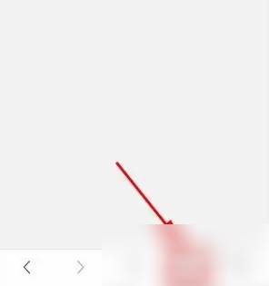 alook浏览器无痕模式在哪里 alook无痕浏览教程