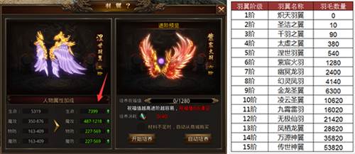 羽翼系统介绍配图1