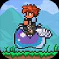 游戏专区                            泰拉瑞亚手机版 Terraria