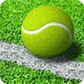 网球王牌游戏手机版安卓版