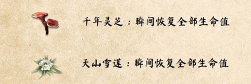 武侠乂测试服药品介绍3