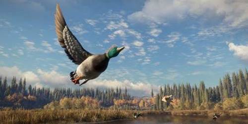 猎人：荒野的召唤1