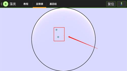 细胞实验室游戏图片5