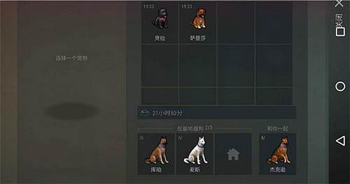 世界末日生存无限购买版怎么带狗5