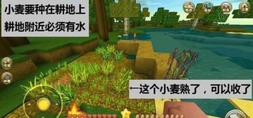 迷你世界新玩家玩法6