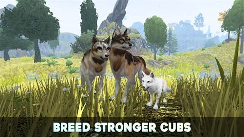 狼传说家园与爱心正版图片4