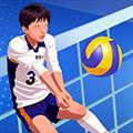 单挑排球最新版 Volleyball Arena:All Star