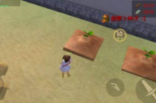 创造与魔法华为版胡萝卜在哪里3