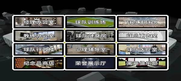 职业足球生涯图片