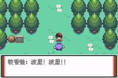 口袋妖怪特别篇赤破解版中文版新手攻略8