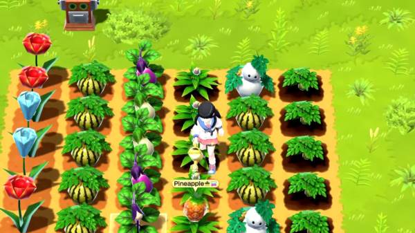 牧场物语甜蜜之家图片1