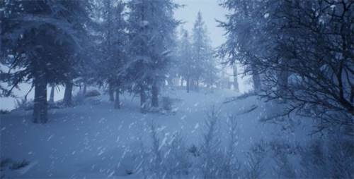 黑光生存进化游戏介绍4