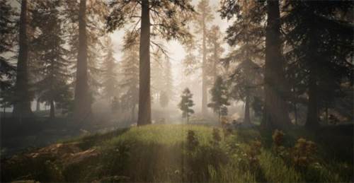 黑光生存进化游戏介绍7