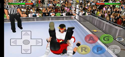 摔跤革命3D图片4