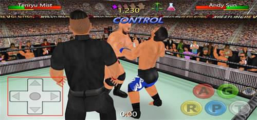 摔跤革命3d无限属性点版图片8