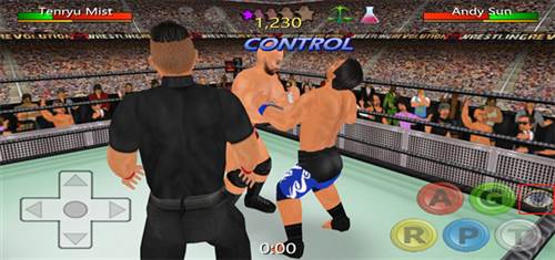 摔跤革命3d无限属性点版图片10