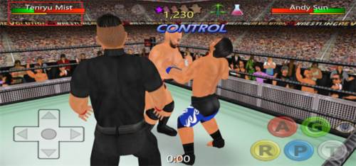 摔跤革命3d无限属性点版图片11