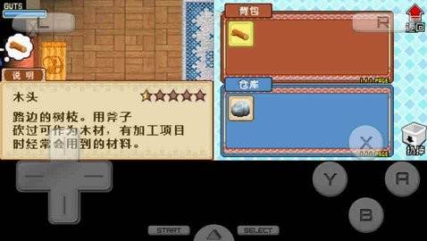 牧场物语风之集市游戏截图2