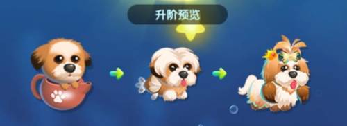 萌鱼泡泡进阶玩法5