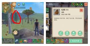 创造与魔法树木种类大全及掉落物品攻略3