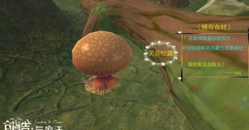 创造与魔法正式服游戏特色