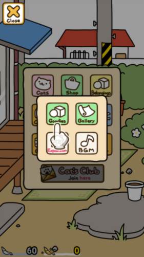 猫咪后院2截图7