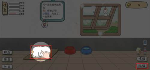 主播和猫的故事截图12