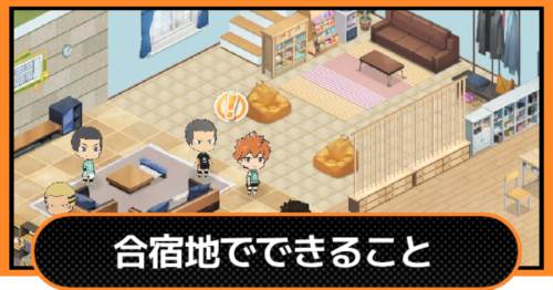 排球少年新的征程体验服4